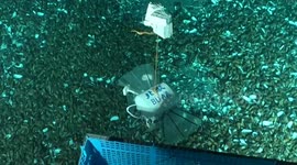 China: Chinese scientists make big strides in developing miniature deep-sea robot