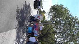 Democrats protesting Elon Musk outside of a Tesla Dealership