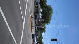 Democrats protesting Elon Musk outside of a Tesla Dealership