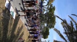 Democrats protesting Elon Musk outside of a Tesla Dealership