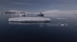 Chile: Thriving Antarctic Ecosystems Discovered After Iceberg Breakaway