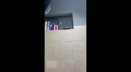 Cat climbs and opens bathroom window to get inside in Colima, Mexico
