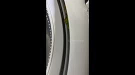 Parrot refuses to leave washer in Iowa