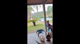 Unique cake designs feature toy car, farm theme, and Shrek-inspired creation in Itapevi, Brazil