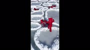 temp