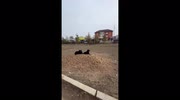 temp