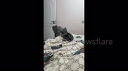 temp