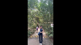 Cobra slithers towards hiker as she poses for video in Singapore