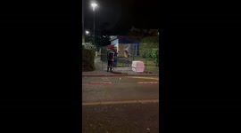 Firefighters rescue dog stuck in fence in Paris, France