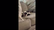 temp