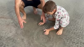 Florida father and son amazing biology class with moon jellyfish in Saint Augustine