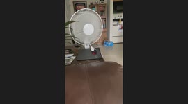 Worker’s genius WFH hack with “active” mouse trick lets them nap undetected