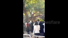 Giraffe fight beaks out at Chinese zoo leaving visitors shocked