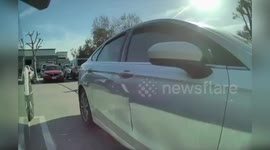 US: Tesla Vandalism in DMV Parking Lot