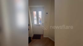 Girl, 13, joins Mensa after scoring more than Einstein - despite no exam prep