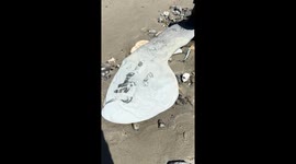 Suspicious-Looking Rock Found on Beach