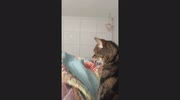 temp