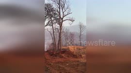 US: Black Cove Complex Fire Continues to Burn Despite Light Rain