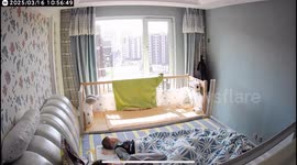 Bird hits glass window and falls in Liaoning, China