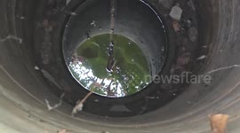 Paramedic rappels into 36ft well to rescue abandoned kitten