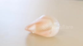 UK: Mini Rolling Robot Revolutionizes Cancer Detection