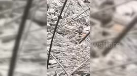 Thailand: First Fatality Confirmed in Bangkok Building Collapse