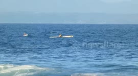 Shark Encounter of a Lifetime! Kayaking With Jumping Bronzies in South Africa