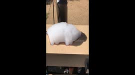 Bubble pig cloud maker floats into viral fame with over 5 million views