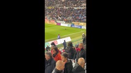 Cat Runs Across Football Pitch