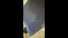 Carbon Buildup From Smoker Burns Off