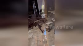 US: Alligator Causes Chaos on Louisiana Couple’s Porch