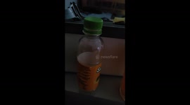 peranormal or abnormal activity