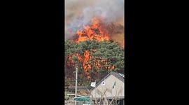 Historic wildfires force evacuations in Ulsan, South Korea