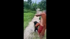 Little monks play with rescued baby bear in Myanmar
