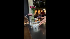 Dog Brings His Own Food To Restaurant