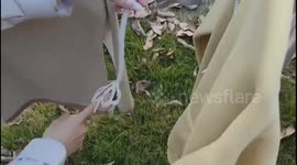 China: Thread End Reminds People of Avatar