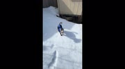 temp
