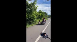Two monkeys cruise on motorcycle sidecar with owner
