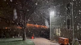 Massive wet snowflakes in Lakewood (Denver) Colorado on March 29th 2025