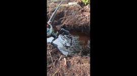 Fisher catches snake while fishing in Miri, Sarawak