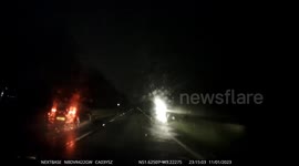 Driver Collides With Fallen Tree on Unlit Road