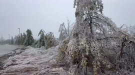 Freezing weather covers vegetation in Toronto, Canada