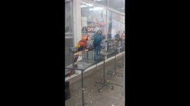 An animal Market In Bangkok Thailand