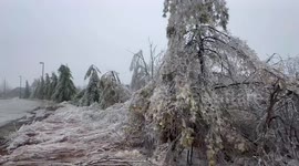 Canada: Aftermath of the severe ice storm in Ontario