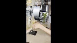 Stowaway Mini Dachshund Sleeps In Purse