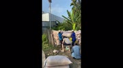 temp