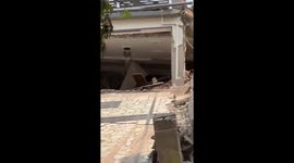 Pet cat rescued from collapsed apartment block following Myanmar earthquake