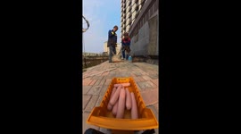 Workers Feed Puppies With Toy Truck