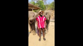 Elephants tickle tourist's neck with their trunks