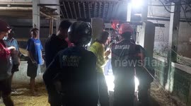 A CALF FALLS INTO A WELL, EVACUATION IS DRAMATIC